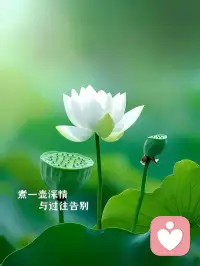 被人民日报这段话共鸣了：你要允许你爱的人不爱你，你要允许你的工作为难你，你要允许身后有人算计你，不允许就是在跟自己较劲，较完劲后的那份力不从心和无能为力才是常态。
唯一能做的就是在竭尽所能之后，顺其自然，那个时候你会发现自己变得很柔软，很轻松，很坦然，你会理解每一个人。
这个世界上，没有好坏，没有对错，只是大家处在不同的频率。允许自己做自己，允许别人做别人。配图