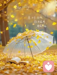 无法共鸣，那就各自安好，互不打扰是最后的温柔。