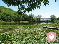允许自己什么都不想，只是感受阳光的温度，风的形状，和时光静静流淌的模样。