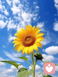心情不好的时候，不要去指责别人，先问问自己，是否也有做得不好的地方。配图
