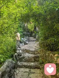 别总因为迁就别人就委屈自己，这个世界没几个人值得你总弯腰。弯腰的时间久了，只会让人习惯于你的低姿态，你的不重要。