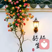 只有不回避痛苦和迷茫的人，才有资格去谈乐观与坚定。命运不会厚待谁，悲喜也不会单为你准备。