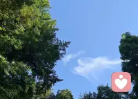 小时候的欢乐，是单纯带来的。长大后的痛苦，是复杂给予的。小时候，即使在没人的地方，我们也很快乐，因为简单的心容易接纳幸福。长大后，就算在拥挤的人群里，我们也感到孤单，因为心与心之间有了太多的距离。简单，是人生的大彻大悟，无欲无求无失望，来去随缘少徒劳。简单，是最大的快乐！