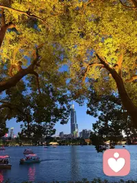 想要减少痛苦，有一件很重要的事情需要各位记得。

简单来讲，就是不把任何人事物，看作理所应当的，本来就属于你的。

只把这些东西看作是一场缘分，能够抓得住的就是属于你的缘分。缘分结束了，那就是结束了，就像流过指缝的水，吹过发间的风，留不住的，就不要勉强。

你爱的人，你喜欢的东西，你依仗的权势，你追求的幸福。

在你拥有的时候，就一定要好好享受，用心维护。在你失去这些事物的时候，那就潇洒一点，不要再苦苦追寻。

一段旧的关系结束，自然而然就会生出一段新的机缘。聚散无常，聚散无常才是有常。

清静经里面早就说过这件事了，“... ... 内观其心，心无其心；外观其形，形无其形；远观其物，物无其物；三者既悟，唯见于空... ...欲既不生，即是真静。”

枣枣枣，今天也要吃好喝好睡好嗷。