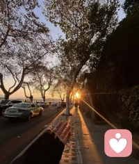 年轻的时候，连多愁善感都要渲染的惊天动地。成熟后却学会：越痛，越不动声色；越苦，越保持沉默。最初，我们揣着糊涂装明白。后来，我们揣着明白装糊涂。
