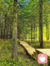 做自己的治愈者。看美好的风景，做喜欢的事情。