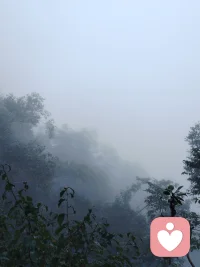 如果此时的你想分，分不开。想过，过不好。那么就停下来聊聊吧！情感。配图