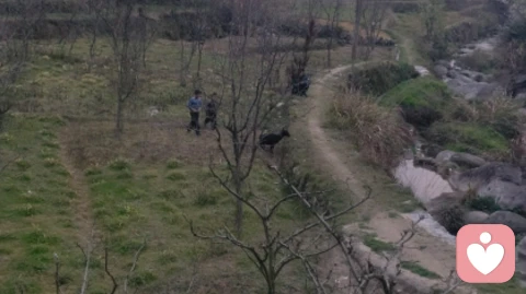 来自大自然跟小朋友的快乐