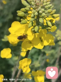 每个人都可以达到心流状态。我也可以，你也可以！配图