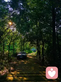 小七说……
青山本不老 为雪白头
绿水本无忧 因风皱面

人本来清净 何必因外物扰心而生愁呢🤗配图