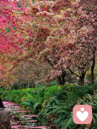 单亲妈妈小七分享……
总有人在养精蓄锐
总有人在支离破碎
总有人拨了个算盘行使爱情手段
总有人诡计多端的爱情背叛
也总会有人以山林花香为伴
小七陪你一段路
句句不提对与非 只聊心和远方❤️配图