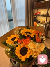 小七说
不必讨好世界 只需忠于自己
每一个清晨 都是重启的机会
早安 去成为自己的光☀️配图