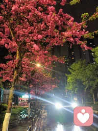 深耕单亲妈妈情感3年，懂育儿焦虑，再婚考虑，情绪疏导，

但还是被刚一通30分钟触动，电话那头的单亲妈妈低沉着说：她刚离婚就急着抓住新的追求者，以为是救赎，不过是半年后又一次心碎。“我到底哪里错了？”这句话里藏着多少自我否定的痛。
听着这句话，小七想告诉你：
你根本没有错。错的不是你不够好，是你不该把“生存的希望”全部寄托在别人身上。是你把情绪的孤独感不计后果的随意找个安放的地。
 
单亲妈妈的救赎，从来不是找个人“搭伙过日子”，而是重建自己的内核。
你要知道，你独自撑起过孩子的一片天，熬过了无数个兵荒马乱的夜晚。这种强大的生命力，才是你这辈子最大的底牌。
 
作为你的倾听师，小七教你如何乱世中找出自己的灵魂归宿，陪你找回那个自信、独立、闪闪发光的自己。
如果你也不想再做“依附型伴侣”，想学会好好爱自己，
小七教你把底气赢回来。配图