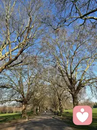 扛过无人撑伞的日子才明白
生活的意义
从来不在急着奔赴的某个终点
而在我拉着孩子的手一步步踏实走过
慢慢感受的每一个此刻🌳✨

小七和你说早安( ˘ ³˘)💋配图