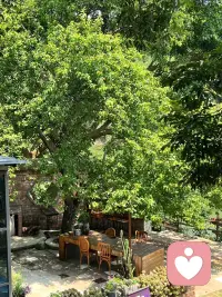 心情属于自己
生活安于自己❤️