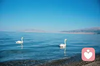 幸福激素的来源：

多巴胺
吃好 睡饱 目标达成

催产素
社交 抚摸 助人

内啡肽
运动 大笑 听音乐

血清素
日晒 冥想 林间漫步

最重要一点
有位懂你说话的人

金喜 |你的情绪战友配图