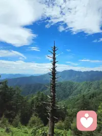 最快的成长不是超越别人
而是每天淘汰昨天的自己配图