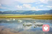 致中年的伙伴们：
我们不是在度过每一天
而是用自己所拥有的东西
填满每一天
你认同吗？

金喜｜你的情绪战友