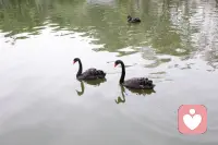 每一个情绪的背后都有一个没有被满足的需要