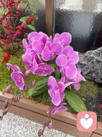 情绪管理，不是让你永远保持开心，
而是让你有能力面对不开心。配图