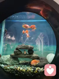 在这个世界上爱是最大的，
因为爱是不分肤色、种族和国界的，
爱也是可以穿越永恒的。配图