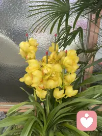 真正的成功不是你外在的拥有，
而是你内在的品格。配图