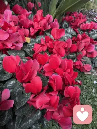 一个成熟的表达，不是指责，而是沟通。配图