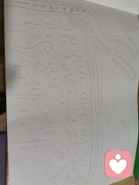 这一路走来，像一个孤独的行者。我曾和我的母亲说，一个30岁的人似乎已经活到了60岁。你觉得我可能在自言自语，当我顺从家人步入恐怖的婚姻，就已经开始被操控着，直到把自己掏干，身体搞废，有好几次轻生都没有如愿，我干得最蠢的就是求天求地没反应只好揍自己到全身发抖…最后终于激活了内在的力量，以至于开启了自我救赎之旅，会画画，会自我治愈…这一路，有太多的无奈和心酸，不过庆幸的是，我找到了自己，找到了自己回家的方向。内心有声音告诉我，笑着去看待过往，笑着活下去，让自己开心起来，让和我接触链接的人都能笑着带着希望活下去。今天又画画了，紧张之余内心深处开始踏实了。愿一切都越来越好。