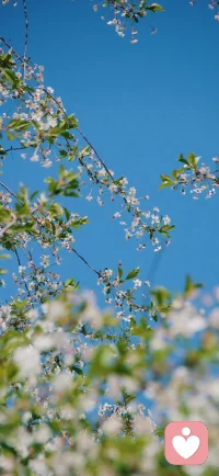 失去和难过都需要一个过程，允许自己悲伤，允许自己慢慢释怀，不用强迫自己立刻走出来，时间和陪伴都会帮你慢慢治愈。