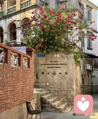 不必迎合所有人，你本来就很好！配图