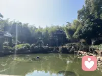 张爱玲说：婚姻我替你们试过了，人生的另一半如果选错，往后余生每一步都是错，你会尝尽世间苦楚，宿舍两难……所以，好好爱自己吧