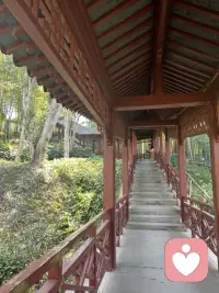 当我们不怕出错，不怕出糗，不怕拒绝，不怕被评价，不怕不完美，不怕痛苦，勇敢就来找我们了，加油配图