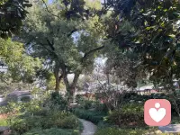 我们不是要控制情绪，而是要给情绪一个正确的出口，这就是爱自己的方式，加油配图