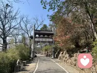 有时候，我们需要的不是解决方法，而是一个愿意把耳朵借给我们的人。我在。配图