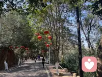 你心里的那场雨，请允许我陪你一起撑伞配图