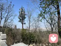 最消耗你的从不是别人，而是你的执念。胡思乱想、焦虑纠结、攀比自责，最伤精气神。想变好，既要护身体，也要护内心。护身体：好好吃饭，按时睡觉，让身心舒畅，精力充沛。护内心：少叹气抱怨，多往好处想，保持乐观，多肯定自己，停止内耗。配图