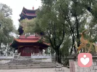 有些话，说给懂的人听，叫交心；说给不懂的人听，叫多余。乌鸦跟燕子抱怨天黑，燕子笑它看不清方向；麻雀跟老鹰诉苦风大，老鹰觉得它太矫情。不是一路鸟，何必说太多。配图