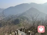 人生在世，渡人者，方能得人心；渡心者，方能得心安；渡己者，方能幸福一生！配图