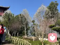 不计较，不内耗，不较劲。女人要温而不软，钢而不冷，不困过往，不畏将来，活成自己的光。慈是给人快乐，悲是拔出痛苦。慈是给人快乐，祥是不共情不掺和他人因果。女修慈祥，男修慈悲。人间清醒。大梦先觉！配图