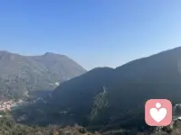 平安健康最重要，其他的，能多拿到一些就拿，拿不到的就放弃吧配图