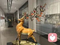 树上的鸟从不害怕树枝断裂，因为它依靠的不是树枝，而是自己的翅膀。独立与不怕失去，是一个人最好的底牌。所以你要经营好自己，哪怕跌入谷底，也要拥有能够交换的筹码。配图