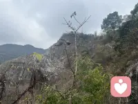 永远别将希望寄予他人，无论爱情还是友情。自身黯淡，爱情难有归途；自身平凡，认识谁都枉然。路要亲自走，苦得自己扛，事需亲自担。别依赖他人，调整心态，潜心锤炼自己，让自己变得强大，才是此生最可靠的底气。