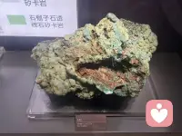 和正能量的人在一起相处，积极乐观的心态，勤奋努力耕耘一份收获。和靠谱的人值得信赖的人同行，顺心顺意。