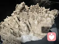 接受世上突如其来的失去，打翻的牛奶、遗失的钱包、走散的爱人、断掉的友情，若无能为力便顺其自然，除了生死，其余都是擦伤。