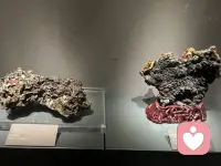 人间值得，未来可期，只要方向坚定，无所谓走走停停，快也好，慢也罢，按各自的进程成为美好。梦想不会发光，发光的是追梦的你，相信自己，配得上世间所有的美好！