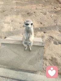 每个人的生活，工作，都有不开心的时候，告诉我，我来倾听。