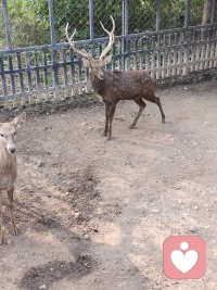 你是否也有过这样的时刻？心里翻涌着千言万语，翻遍通讯录却找不到一个能随时打扰的人；深夜里被焦虑、委屈裹挟，想倾诉却怕成为别人的负担；那些无人理解的小情绪，像散落的星光，独自闪烁却无人捡拾。
而我，愿意做你情绪的“收纳盒”与“加油站”