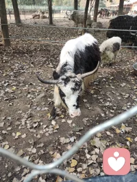 当你感到焦虑、生气，或是想要分享喜悦却无人可诉，
我在这里，随时成为你的聊天搭子、情绪树洞与倾听伙伴。
专属1对1真人陪伴，真诚共情，提供真正有温度的情绪支持与深度倾听。
安全保密，全程守护
你的所有倾诉内容都会被严格保密，让你安心表达，无忧无虑。