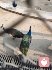 当你感到焦虑、生气，或是想要分享喜悦却无人可诉，
我在这里，随时成为你的聊天搭子、情绪树洞与倾听伙伴。
专属1对1真人陪伴，真诚共情，提供真正有温度的情绪支持与深度倾听。
安全保密，全程守护
你的所有倾诉内容都会被严格保密，让你安心表达，无忧无虑。