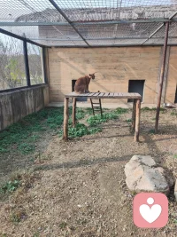 我会用心接住你的每一份情绪与心事。不评判、不催促、不敷衍，在安全、温暖的空间里，陪你梳理困惑、释放压力、看见自己，让你被理解、被接纳、被温柔以待。